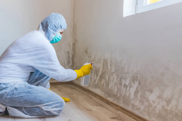 Mold Remediation specialist working in Lake Bluff